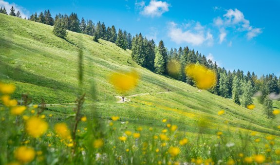 Unterwegs am Schliersberg, © Alpenregion Tegernsee Schliersee