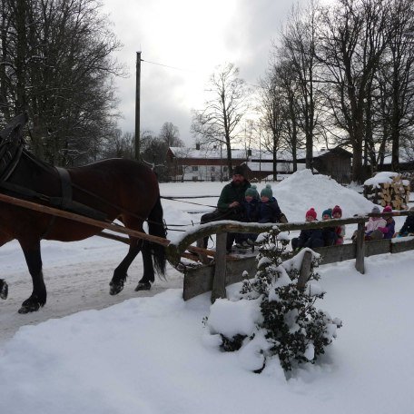 kleine Schlittenfahrt mit dem Pferd, © im-web.de/ Kultur- und Tourismusamt Miesbach